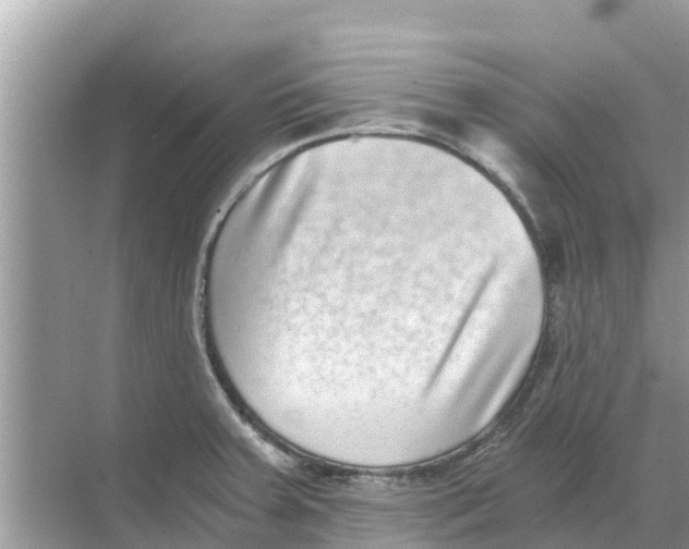 X0000068301379200605121953