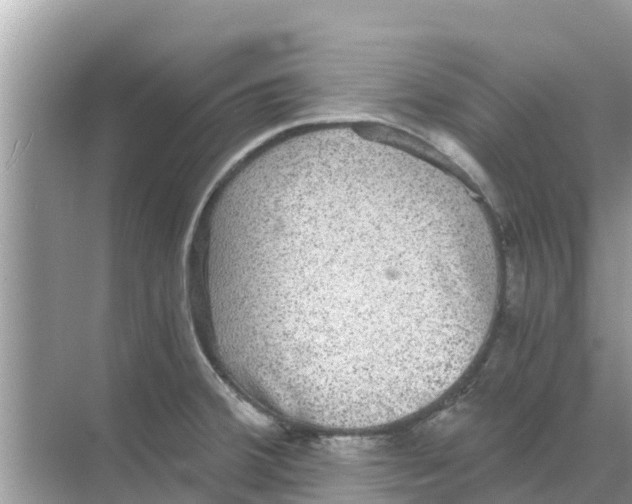 X0000068301380200605121953