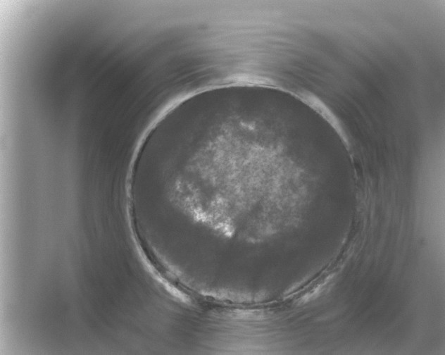 X0000068301381200605121953