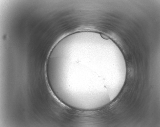 X0000068301382200605121953