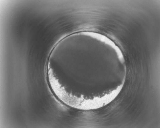 X0000068301383200605121953