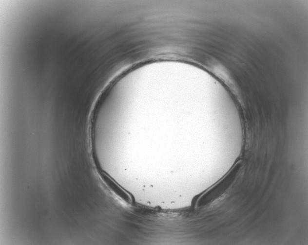 X0000068301384200605121953