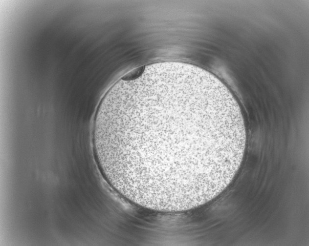 X0000068301386200605121952