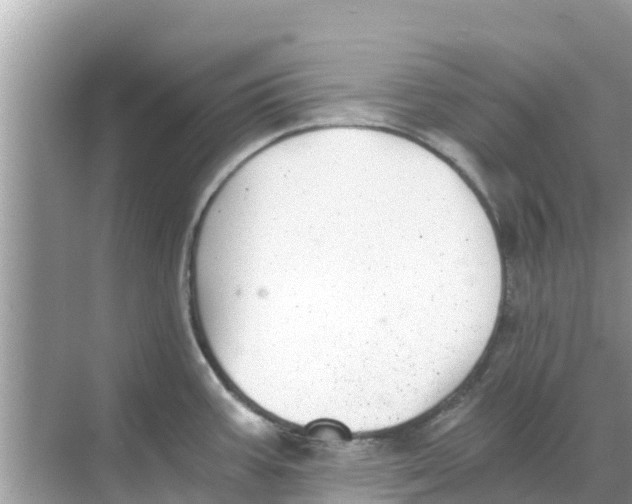 X0000068301387200605121952