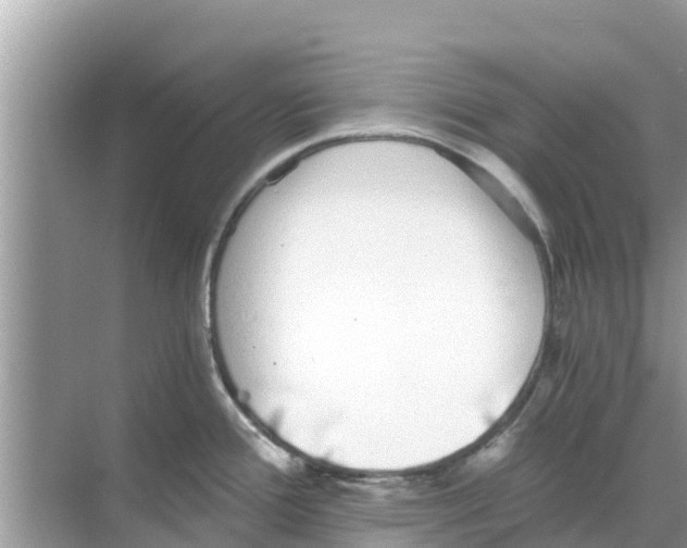 X0000068301388200605121952