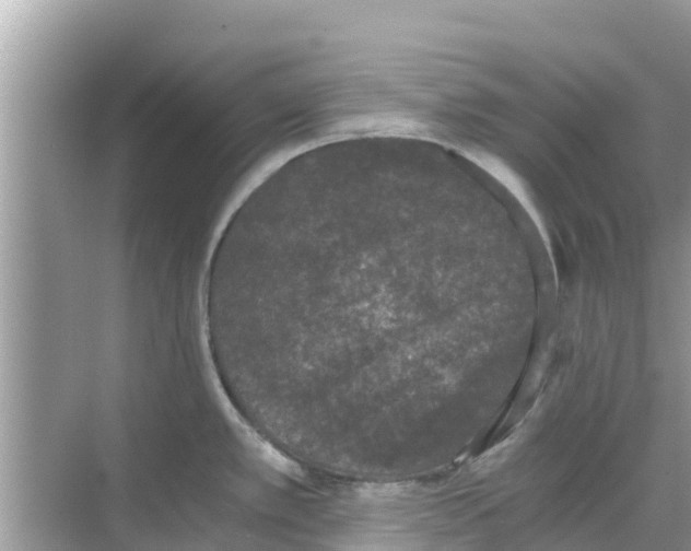 X0000068301389200605121952