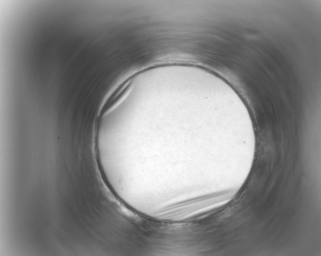 X0000068301390200605121952