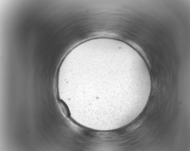 X0000068301391200605121952