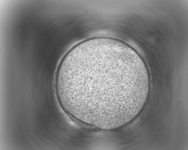 X0000068301392200605121952