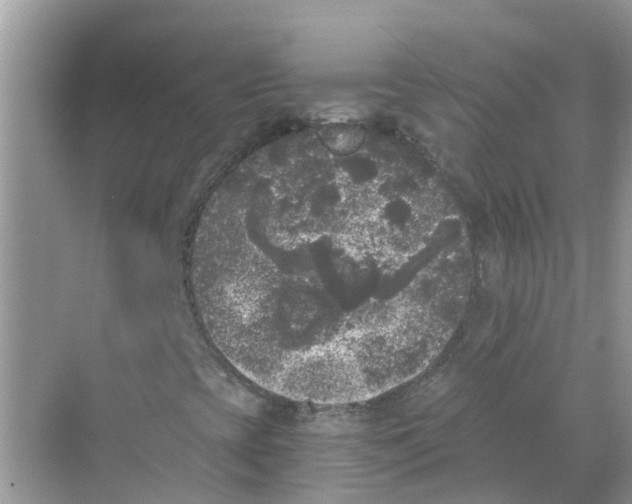 X0000068301393200605121952