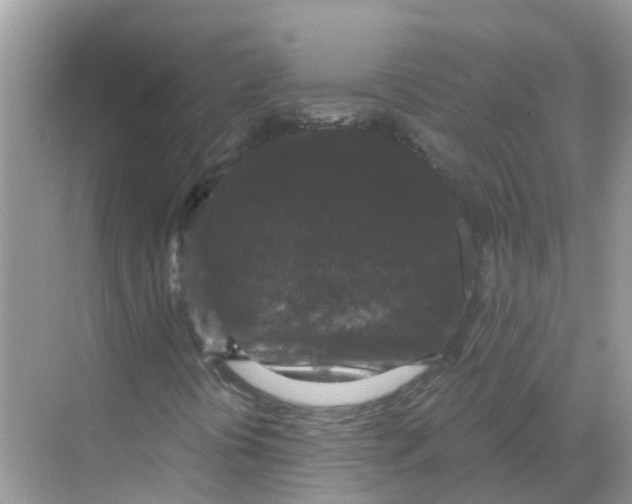 X0000068301394200605121952