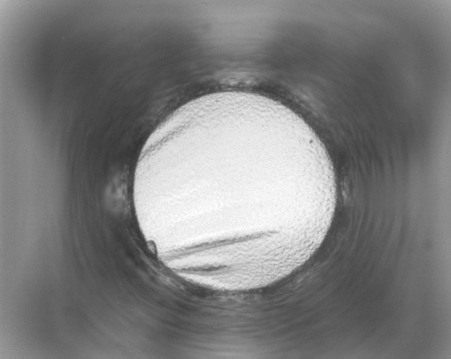 X0000068301396200605121952