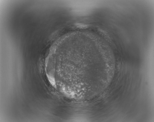 X0000068301397200605121952