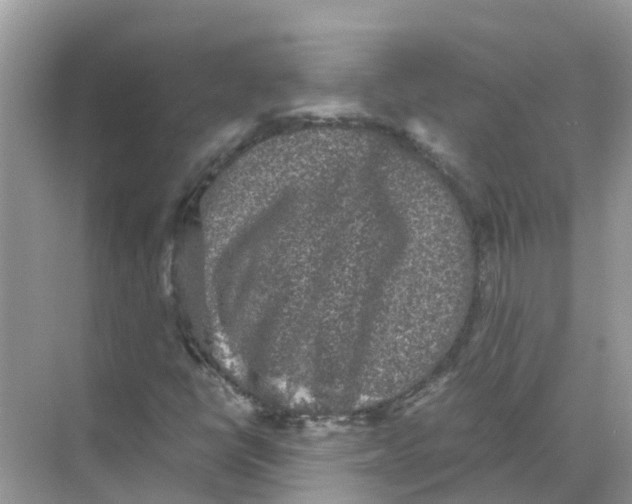 X0000068301398200605121952