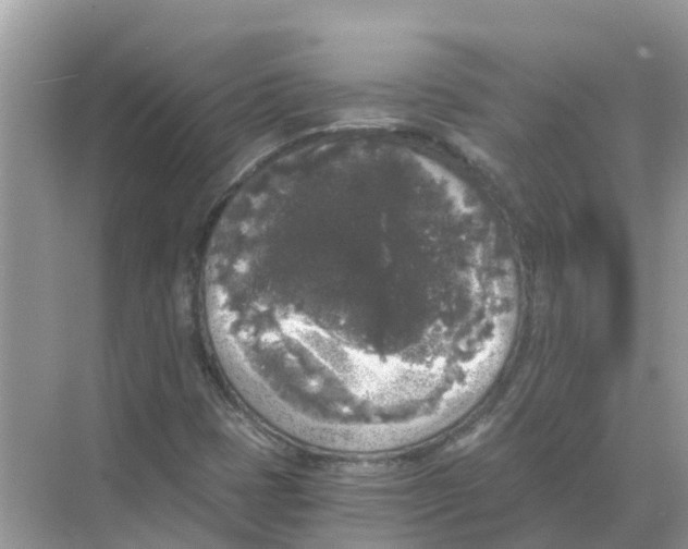 X0000068301401200605121952