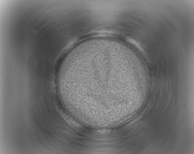 X0000068301403200605121952