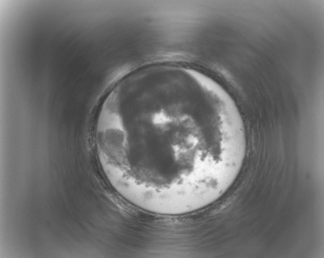 X0000068301405200605121952