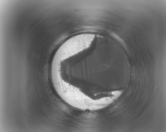 X0000068301411200605121952