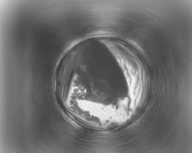 X0000068301413200605121952