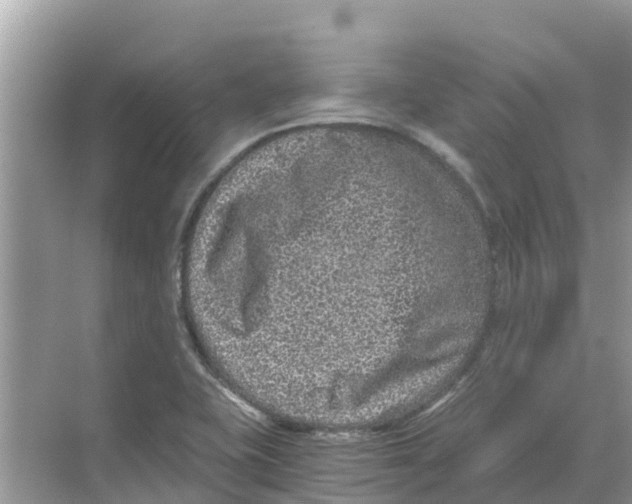 X0000068301415200605121952