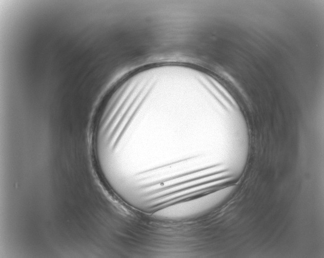 X0000068301416200605121952