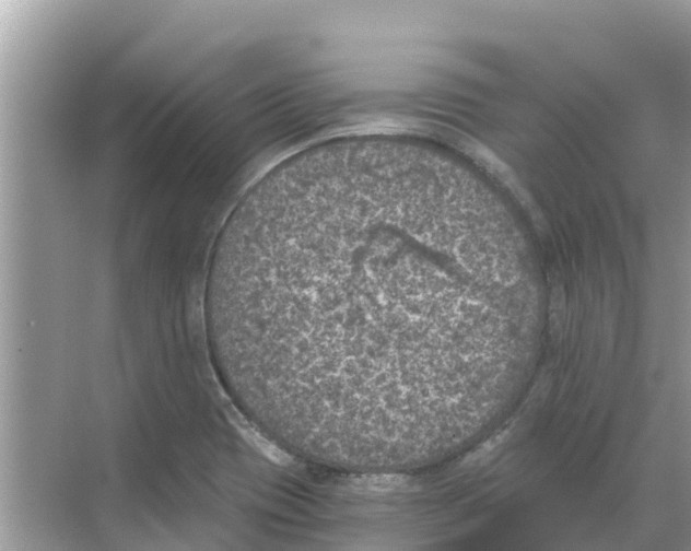 X0000068301417200605121952