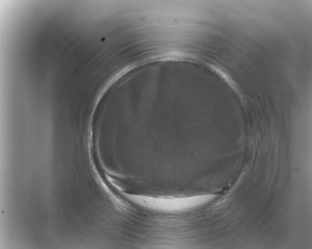 X0000068301418200605121952