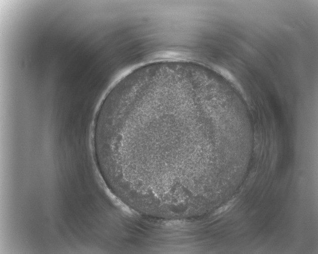 X0000068301421200605121952