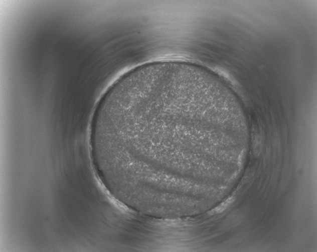 X0000068301422200605121952