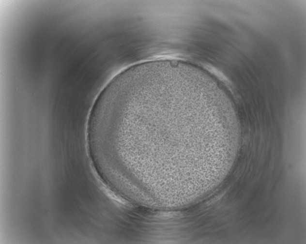 X0000068301423200605121952