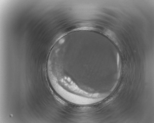 X0000068301425200605121952