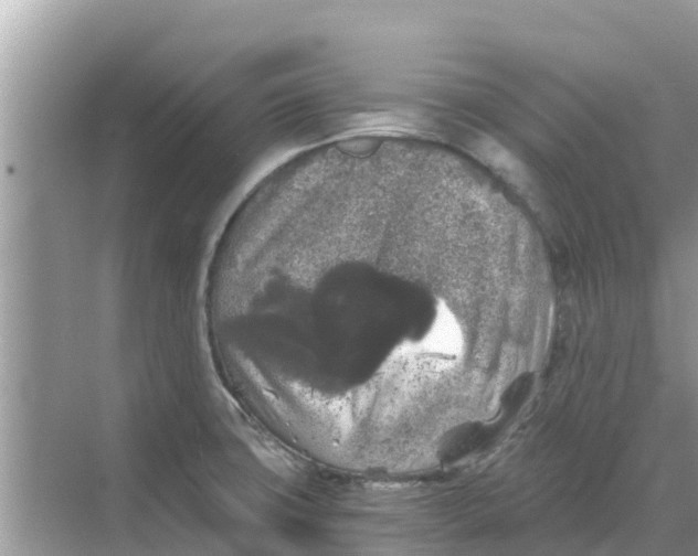 X0000068301427200605121952