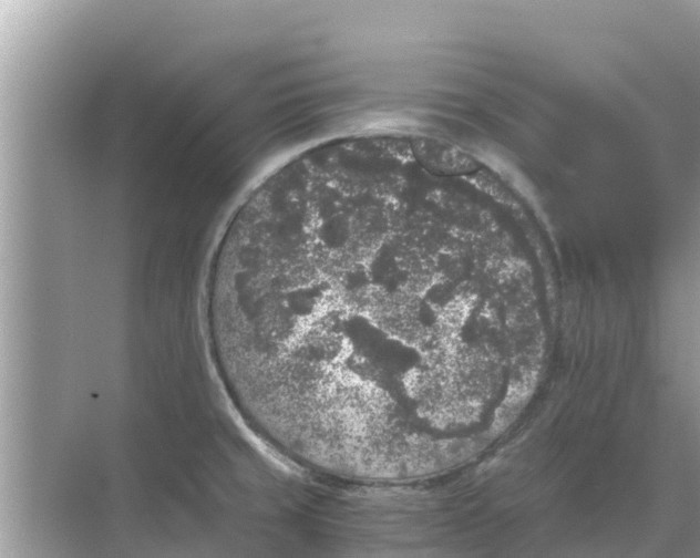 X0000068301429200605121952