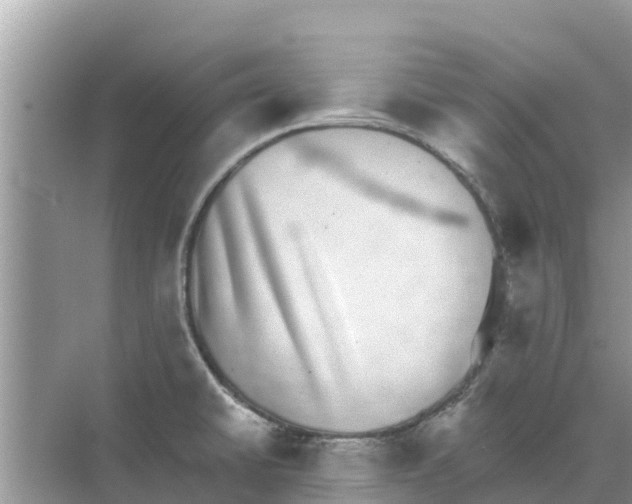 X0000068301430200605121952