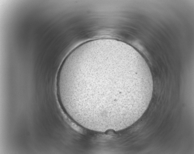 X0000068301431200605121952