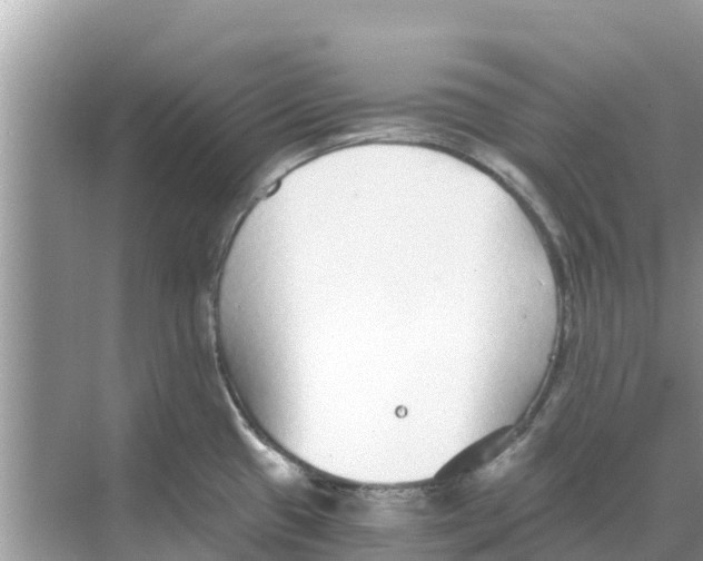 X0000068301433200605121952