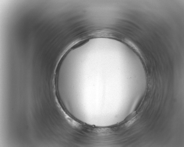 X0000068301434200605121952