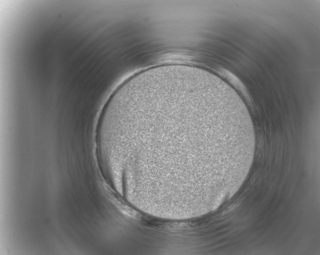 X0000068301435200605121952