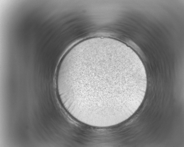 X0000068301436200605121952