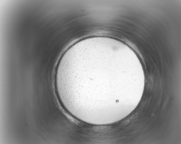 X0000068301437200605121952