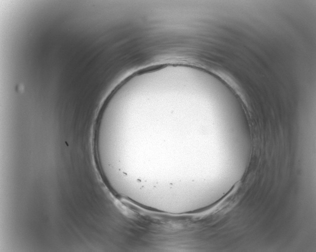 X0000068301438200605121952