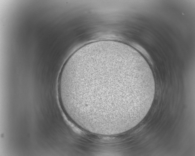 X0000068301439200605121952