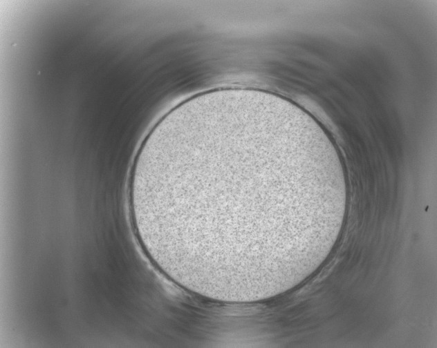 X0000068301440200605121952