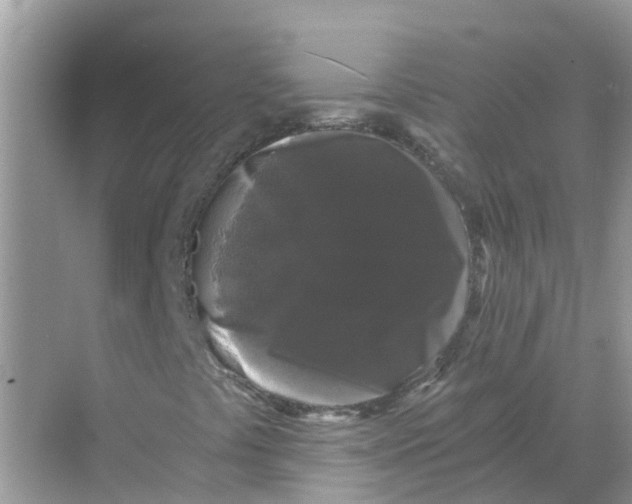 X0000068301441200605121952