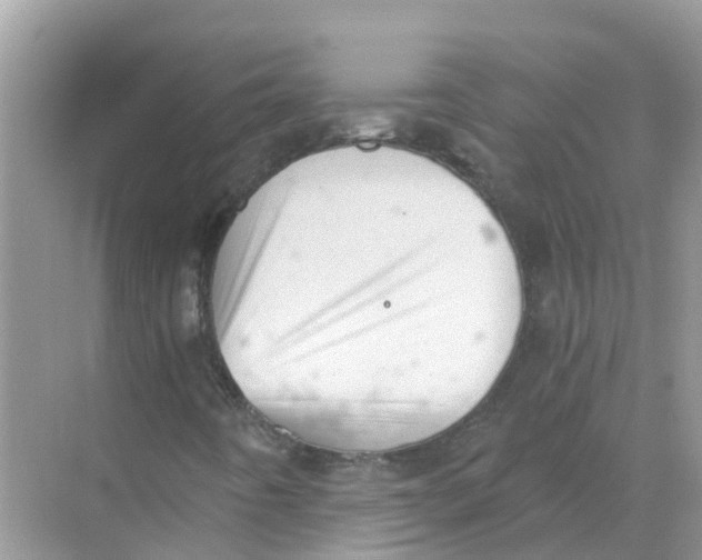 X0000068301442200605121952