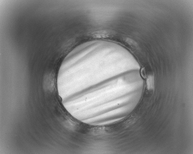 X0000068301444200605121951