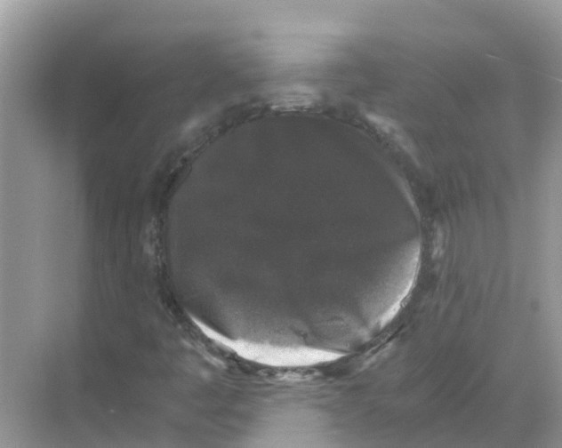 X0000068301445200605121951