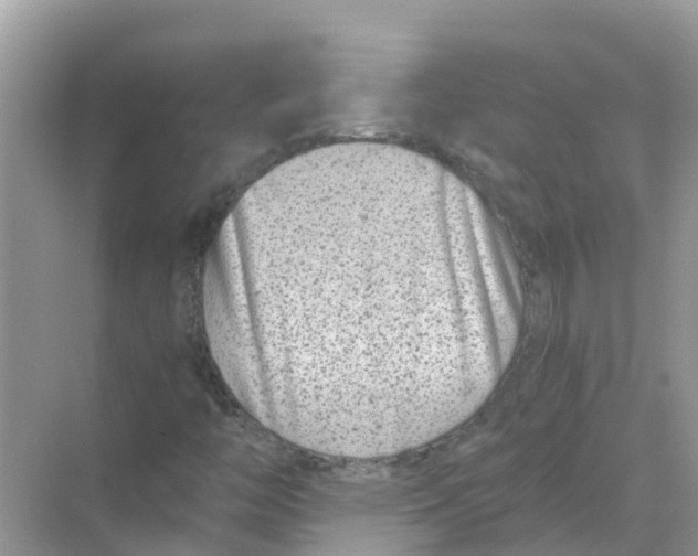 X0000068301446200605121951