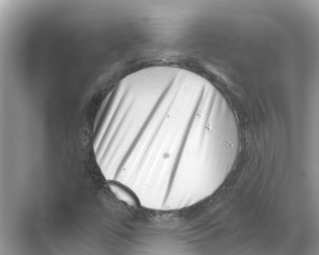 X0000068301447200605121951