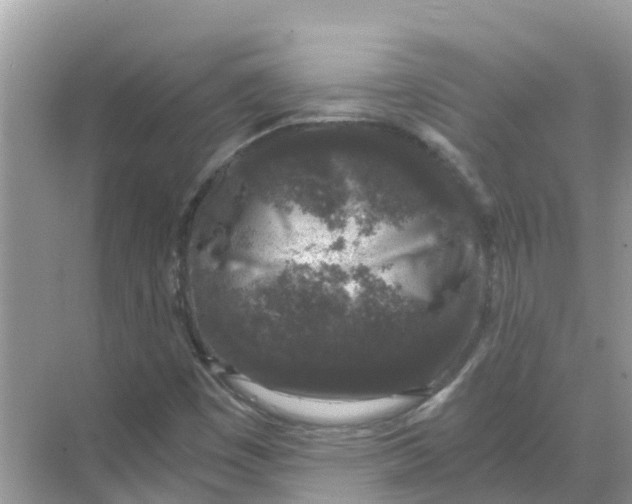 X0000068301449200605121951